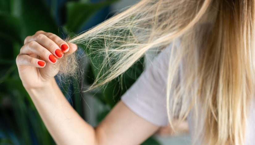 exosome follicle di lavalen beauty