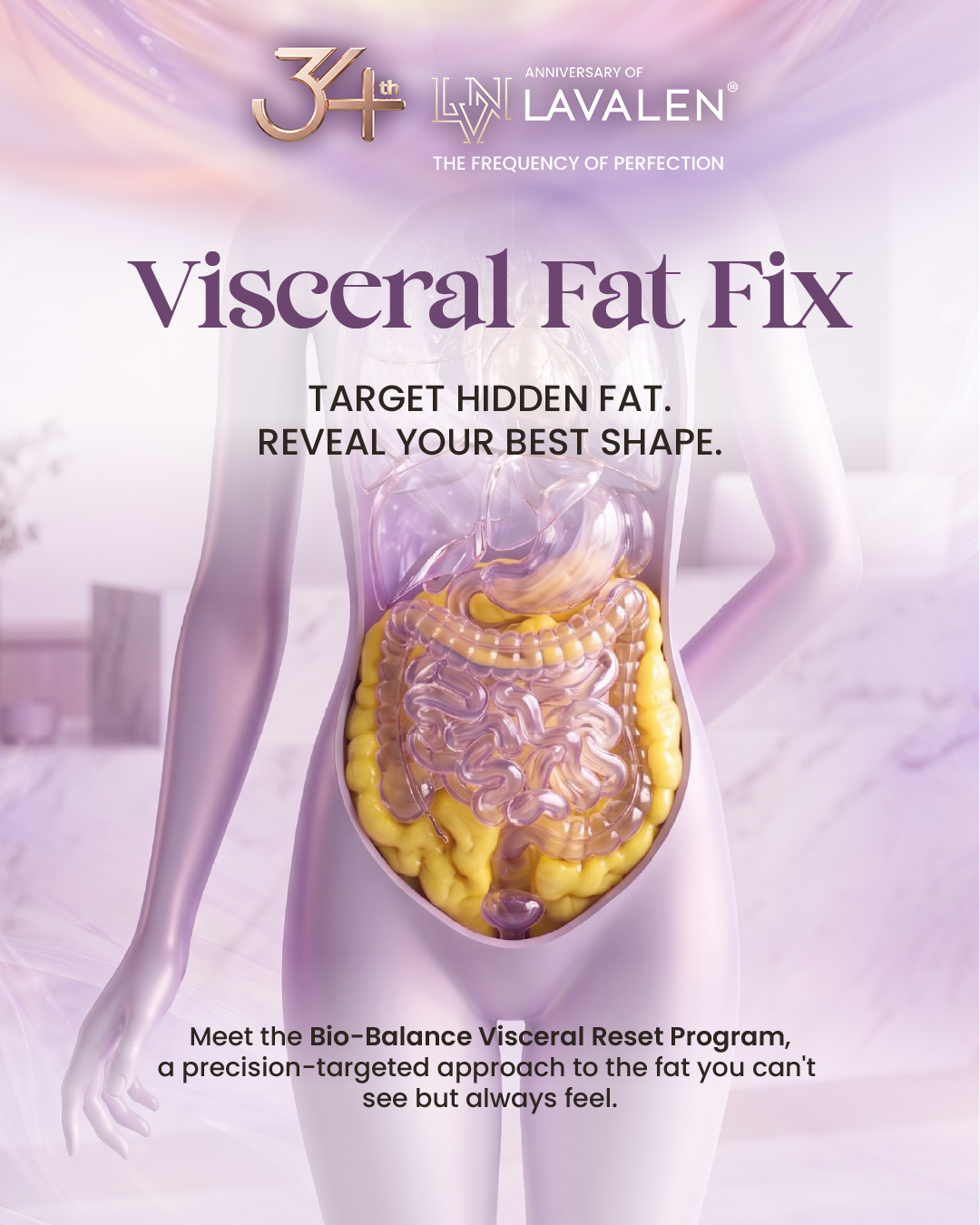 visceral fat program 18jt 28062026 REV-01